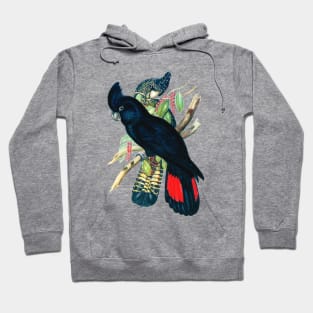 Black Cockatoo Hoodie